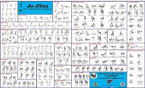 jiu jitsu techniques illustration chart